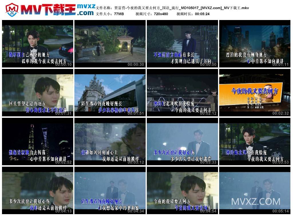 贾富营-今夜的我又要去何方_国语_流行_MD105017